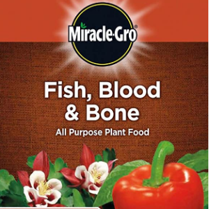 Fish Blood & and Bone fertilizer.