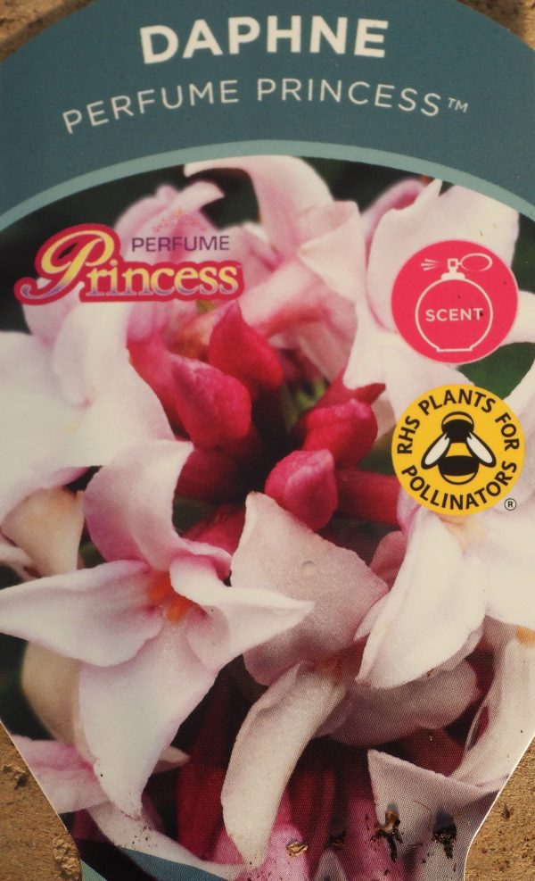 Daphne Perfume Princess